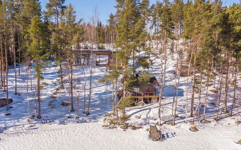 Villa Luoto: Baum, Ast, Holz, Winter, Schnee, Wald, Einfrieren, Wald, Kofferraum