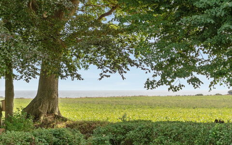 Francis - 300M from the Sea: Holz, Dach, Die Architektur, Zuhause, Haus, Hütte, Abstellgleis, Hartholz, Steigung, Estate