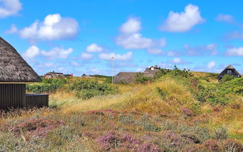 Kajin - 200M from the Sea: Holz, Dach, Die Architektur, Zuhause, Haus, Hütte, Abstellgleis, Hartholz, Steigung, Estate