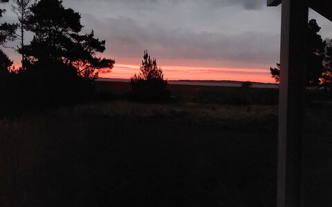 Eltje - 4Km from the Sea: Himmel, Fotografieren, Natur, Ast, Afterglow, Dämmerung, Horizont, Sonnenuntergang, Wolke, Abend