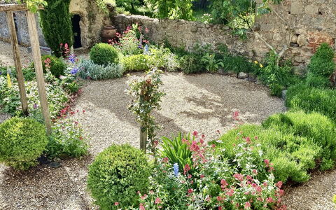 Casa Di Pietro In Vivo D'orcia, Pool: Blume, Garten, Strauch, Pflanzengemeinschaft, Ground, Frühling, Hinterhof, Landscaping, Garten