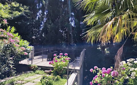Casa sul Torrente: Vegetation, Strauch, Garten, Frühling, Landscaping, Hinterhof, Schatten, Garten, Botanischer Garten