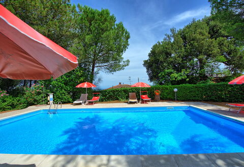 Leccino: Wasser, Pflanze, Eigentum, Schwimmbad, Wolke, Natur, Azurblau, Himmel, Baum, Schatten