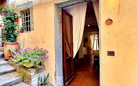 Vicolo Della Scala Rooms: Pflanze, Eigentum, Gebäude, Fenster, Blume, Azurblau, Blumentopf, Tür, Holz