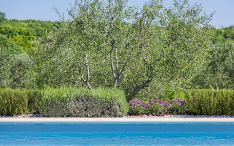 Claudia: Wasser, Pflanze, Pflanzengemeinschaft, Himmel, Natürliche Landschaft, Grundstueck, Blume, Landschaft, Ground, Strauch
