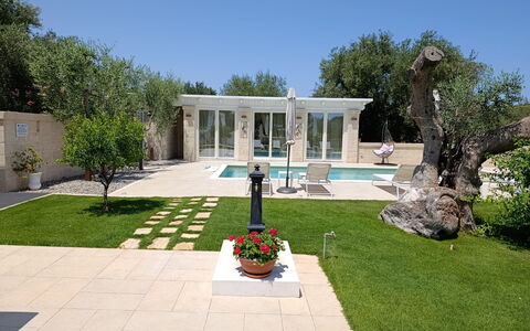 Terra Mater: Wohngebiet, Garten, Estate, Landscaping, Hof, Beton, Hazienda, Rasen, Garten, Schatten