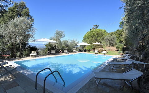 Villa Sette Ponti Levante: Pflanze, Himmel, Eigentum, Wasser, Schwimmbad, Tabelle, Azurblau, Schatten, Gartenmöbel, Baum