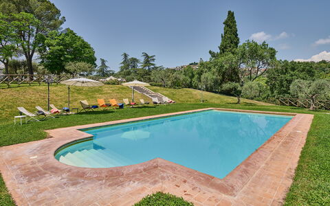 Villa Conte Jacopo: Wasser, Eigentum, Himmel, Schwimmbad, Natur, Baum, Schatten, Rechteck, Pflanze, Gras