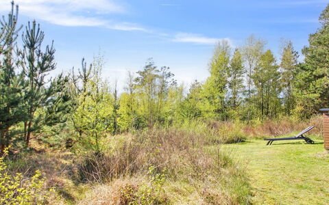 Efimija - 1.4Km from the Sea: Himmel, Gras, Baum, Natürlichen Umgebung, Blatt, Vegetation, Natürliche Landschaft, Strauch, Wiese, Grundstueck