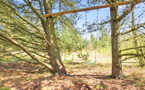 Efimija - 1.4Km from the Sea: Ast, Holz, Zweig, Kofferraum, Naturschutzgebiet, Wald, Gehölz, Wald, Boden
