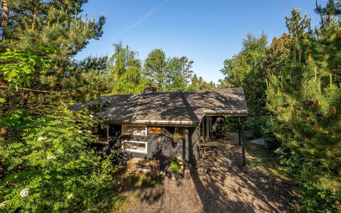 Hilde - 350M to the Fjord: Holz, Dach, Die Architektur, Zuhause, Haus, Hütte, Abstellgleis, Hartholz, Steigung, Estate