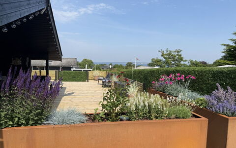 Ofrath - 350M to the Fjord: Strauch, Garten, Landscaping, Schatten, Garten, Hinterhof, Walkway, Blumentopf, Hecke, Kraut