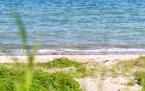 Jolanta - 20M from the Sea: Holz, Zuhause, Veranda, Deck, Hartholz, Dach, Holzbeize, Holzboden, Eco Hotel