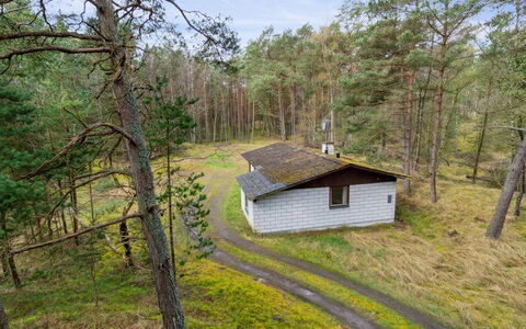 Awa - 800M from the Sea: Baum, Holz, Wald, Grundstueck, Hütte, Ländliches Gebiet, Wald, Schuppen
