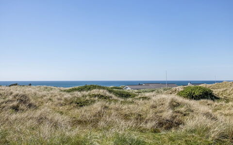Carit - 450M from the Sea: Gras, Grün, Haus, Hütte, Wiese, Ländliches Gebiet, Ökoregion, Landschaft, Grundstueck, Strauch