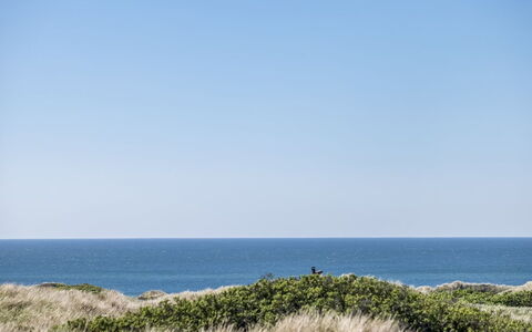 Carit - 450M from the Sea: Gras, Grün, Haus, Hütte, Wiese, Ländliches Gebiet, Ökoregion, Landschaft, Grundstueck, Strauch