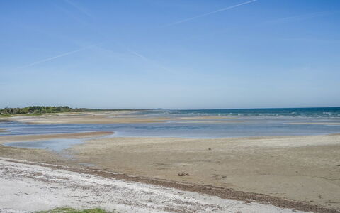 Eleanore - 25M from the Sea: Holz, Zuhause, Veranda, Deck, Hartholz, Dach, Holzbeize, Holzboden, Eco Hotel