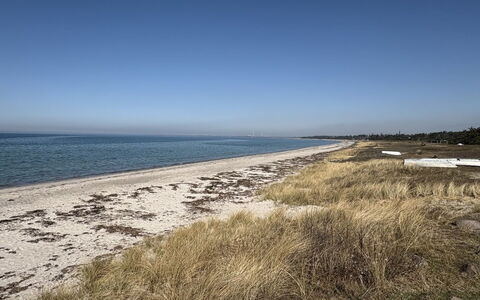 Cita - 350M from the Sea: Wasser, Strand, Küste, Horizont, Ufer, Meer, Küsten Und Ozeanische Forms, Sand