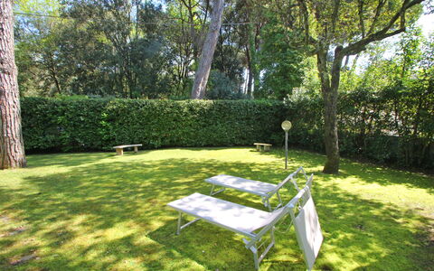 Villa Le Macchie: Pflanze, Tabelle, Baum, Schatten, Gartenmöbel, Natürliche Landschaft, Vegetation, Sonnenlicht, Gras, Ground