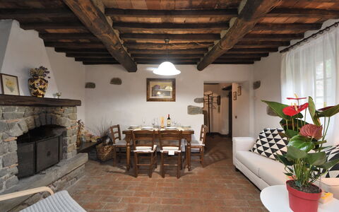 Villa Del Mulino: Pflanze, Bilderrahmen, Tabelle, Interior Design, Holz, Zimmerpflanze, Stuhl, Gebäude, Wohnzimmer, Haus