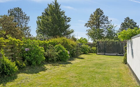 Eikka - 100M from the Sea: Himmel, Grün, Strauch, Garten, Grundstueck, Rasen, Ground, Gehölz