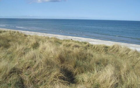 Frithbjorn - 900M from the Sea: Holz, Zuhause, Veranda, Deck, Hartholz, Dach, Holzbeize, Holzboden, Eco Hotel