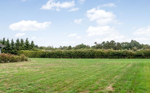 Lari - 600M from the Sea: Baum, Natürlichen Umgebung, Grün, Wiese, Strauch, Einfach, Grundstueck, Feld, Ground