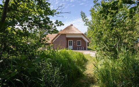Ejvi - 4Km from the Sea: Gras, Dach, Haus, Hütte, Strauch, Zuhause, Grundstueck, Ländliches Gebiet, Bauernhaus