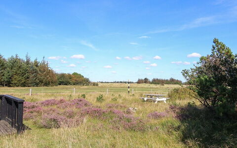 Antonelle - 1.7Km from the Sea: Himmel, Blau, Gras, Wiese, Natürliche Landschaft, Ökoregion, Strauch, Einfach, Prärie, Grundstueck