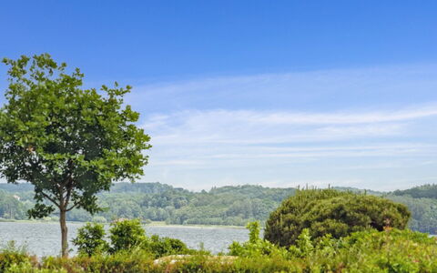 Thorward - 100M from the Sea: Holz, Zuhause, Veranda, Deck, Hartholz, Dach, Holzbeize, Holzboden, Eco Hotel