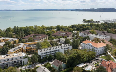 Lily: Baum, Vogelperspektive, Wohngebiet, Stadt, Stadtgebiet, Landschaft, Luftaufnahmen, Nachbarschaft, Küsten Und Ozeanische Forms, Urban Design