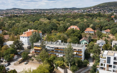 Lily: Daytime, Baum, Wohngebiet, Nachbarschaft, Zuhause, Menschliche Siedlung, Wohnung, Vorort