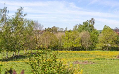 Sölvy - 300M from the Sea: Baum, Gras, Grün, Blatt, Natur, Natürlichen Umgebung, Ast, Wiese, Natürliche Landschaft, Vegetation