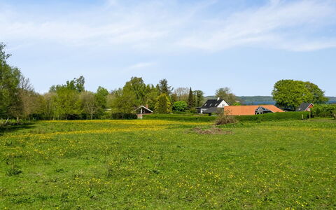 Sölvy - 300M from the Sea: Himmel, Grün, Gras, Baum, Wiese, Gelb, Natürliche Landschaft, Einfach, Sommer