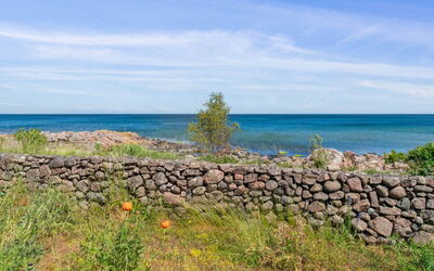 Vanta - 50M from the Sea