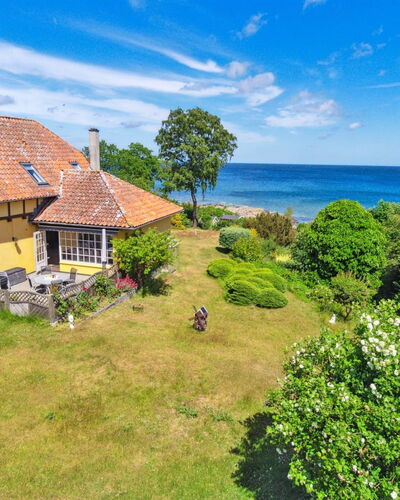 Vanta - 50M from the Sea