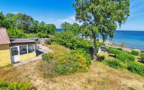 Throtti - 50M from the Sea: Holz, Dach, Die Architektur, Zuhause, Haus, Hütte, Abstellgleis, Hartholz, Steigung, Estate