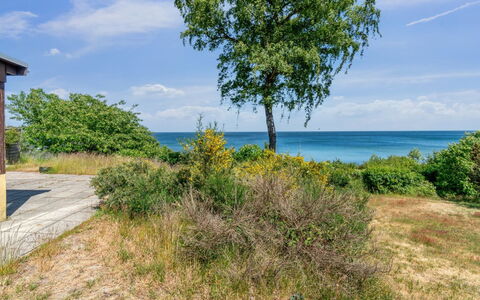 Throtti - 50M from the Sea: Holz, Dach, Die Architektur, Zuhause, Haus, Hütte, Abstellgleis, Hartholz, Steigung, Estate
