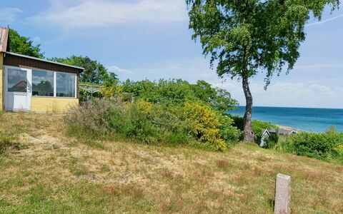 Throtti - 50M from the Sea: Holz, Dach, Die Architektur, Zuhause, Haus, Hütte, Abstellgleis, Hartholz, Steigung, Estate
