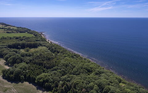 Agir - 200M from the Sea: Holz, Dach, Die Architektur, Zuhause, Haus, Hütte, Abstellgleis, Hartholz, Steigung, Estate