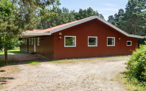 Paulus - 375M from the Sea: Dach, Haus, Zuhause, Hütte, Tür, Abstellgleis, Deck, Veranda, Planke, Hartholz