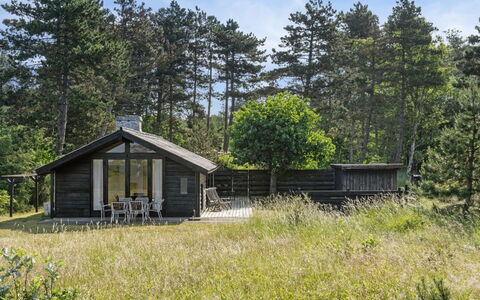 Felis - 575M from the Sea: Holz, Dach, Die Architektur, Zuhause, Haus, Hütte, Abstellgleis, Hartholz, Steigung, Estate