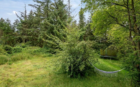 Wiss - 4.1Km from the Sea: Gras, Holz, Ländliches Gebiet, Strauch, Hütte, Dach, Einfach, Grundstueck, Zuhause, Ground