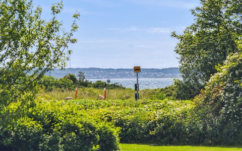 Hermund - 100M from the Sea: Himmel, Blau, Grün, Natur, Gras, Blatt, Vegetation, Natürliche Landschaft, Strauch, Landschaft
