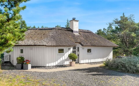 Pihla - 1.1Km from the Sea: Blau, Strauch, Hütte, Ground, Garten, Estate, Schatten, Landscaping, Bauernhaus, Eco Hotel