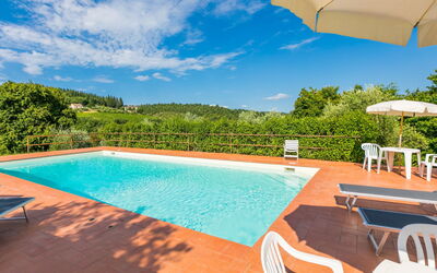 Castellina in Chianti 647 - Castellina in Chianti, Toskana, Italien - Cerretino Oliveto 647.3