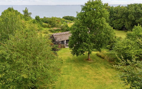 Emeli - 100M from the Sea: Holz, Dach, Die Architektur, Zuhause, Haus, Hütte, Abstellgleis, Hartholz, Steigung, Estate