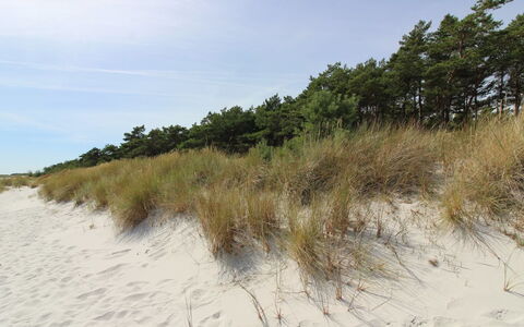 Auvo - 200M from the Sea: Holz, Dach, Die Architektur, Zuhause, Haus, Hütte, Abstellgleis, Hartholz, Steigung, Estate