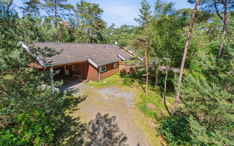 Auvo - 200M from the Sea: Holz, Dach, Die Architektur, Zuhause, Haus, Hütte, Abstellgleis, Hartholz, Steigung, Estate