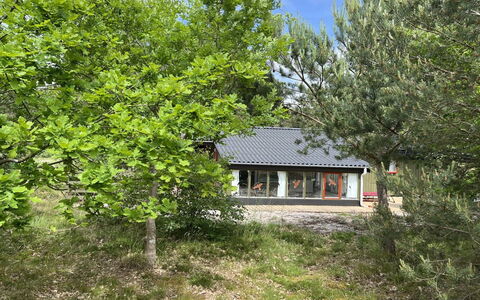 Srebrenka - 350M from the Sea: Holz, Dach, Die Architektur, Zuhause, Haus, Hütte, Abstellgleis, Hartholz, Steigung, Estate